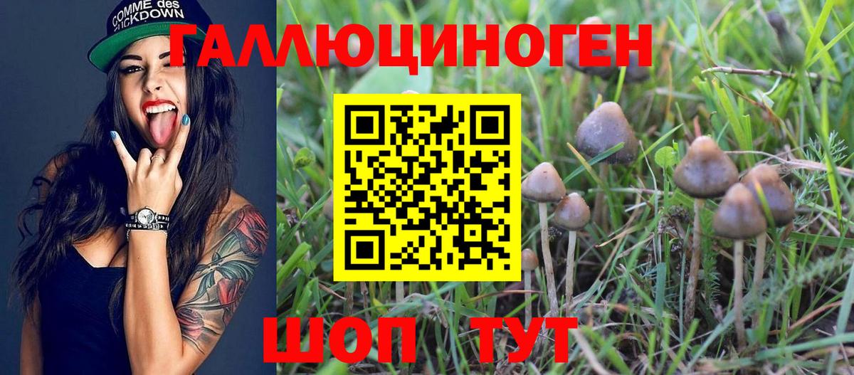 Псилоцибиновые грибы MAGIC MUSHROOMS  Вход с VPN  Рыбинск 